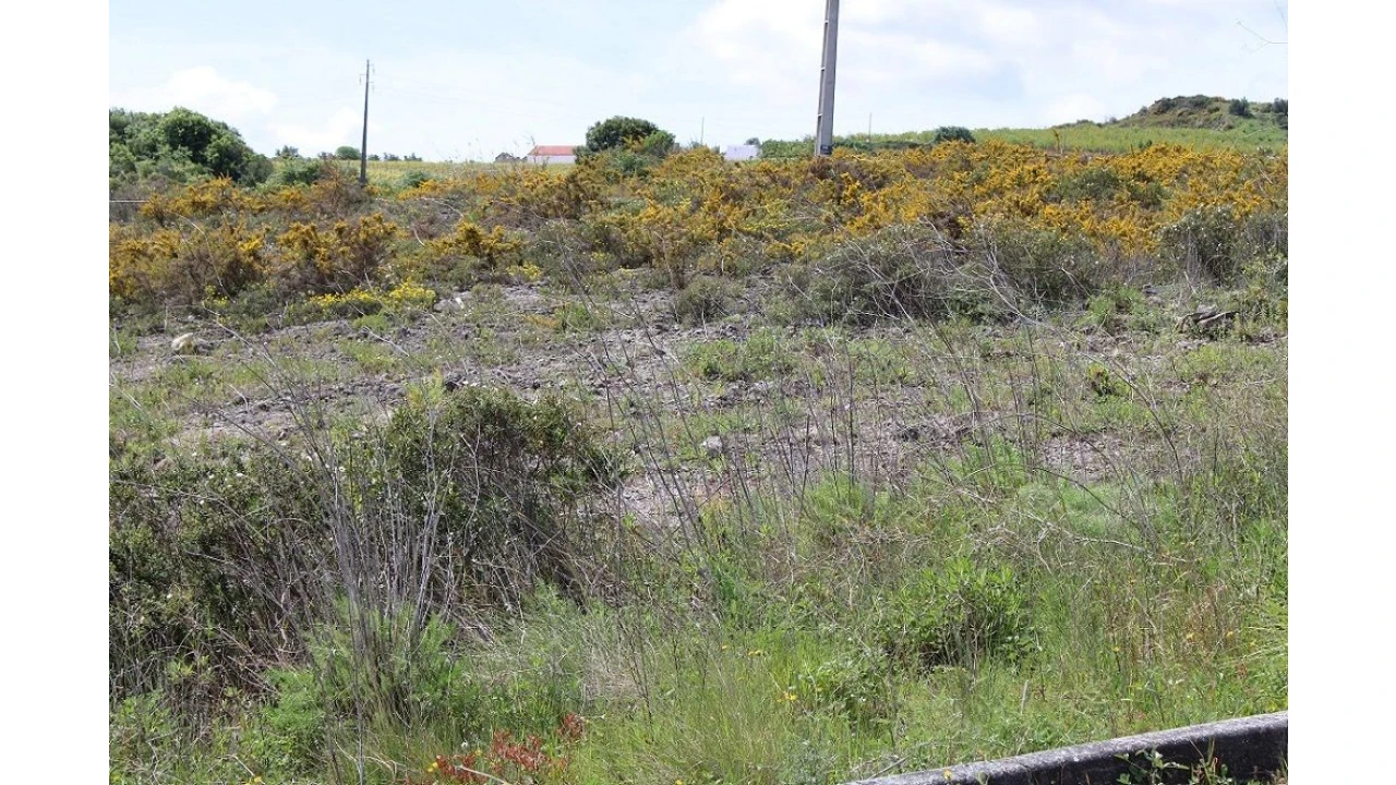 Terreno para Venda em Alenquer Foto 5