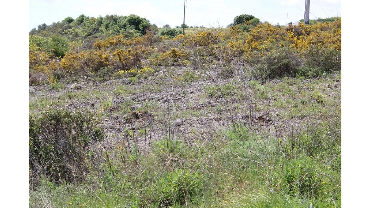 Terreno para Venda em Alenquer Foto 14
