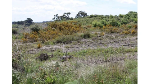 Terreno para Venda em Alenquer