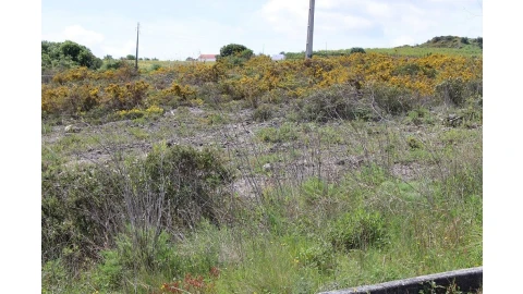 Terreno para Venda em Alenquer