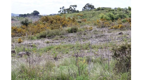 Terreno para Venda em Alenquer