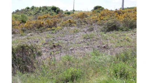 Terreno para Venda em Alenquer