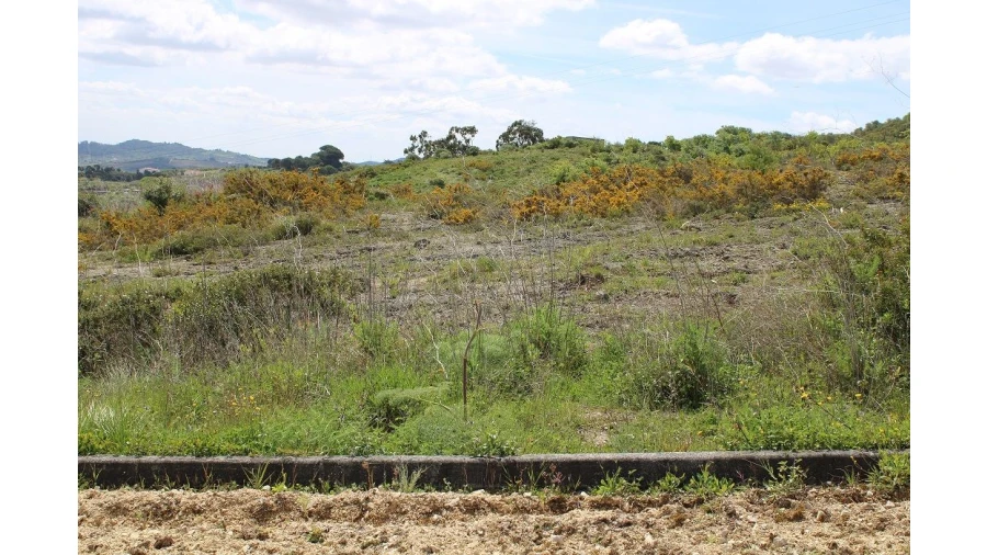 Terreno para Venda em Alenquer Foto 2