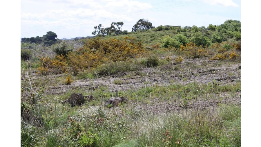 Terreno para Venda em Alenquer Foto 4