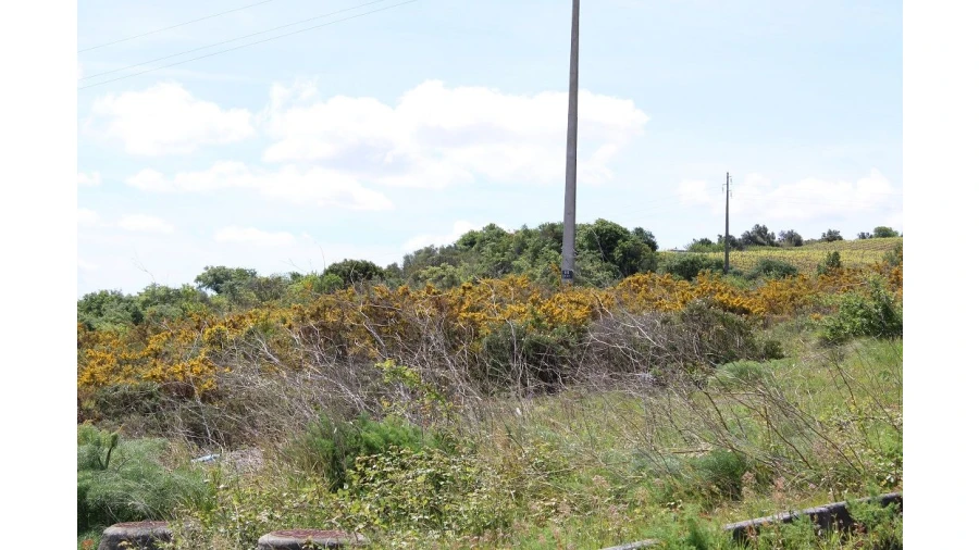Terreno para Venda em Alenquer Foto 7