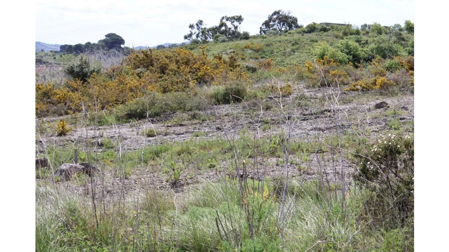 Terreno para Venda em Alenquer Foto 12