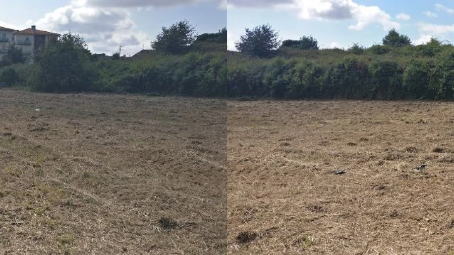 Terreno P/ Prédio para Venda em Albergaria-a-Velha Foto 7