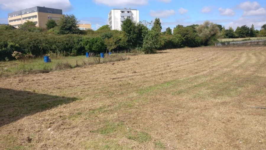 Terreno P/ Prédio para Venda em Albergaria-a-Velha Foto 10