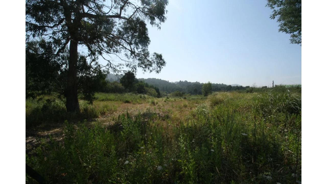 Terreno para Venda em Baguim do Monte Foto 5