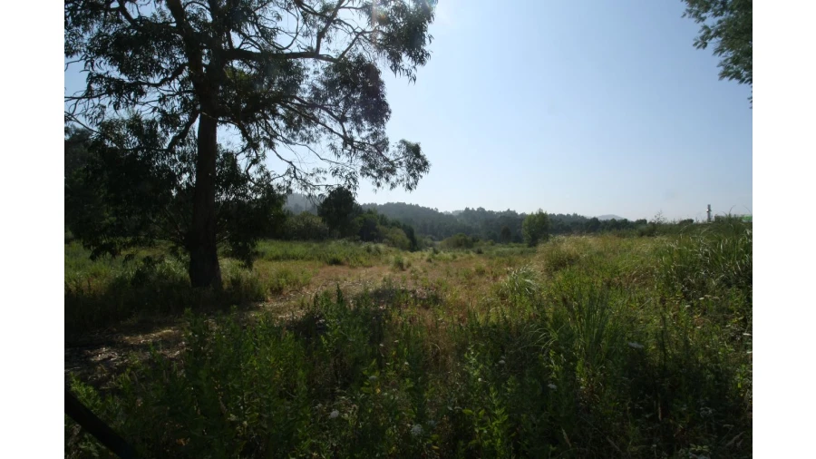 Terreno para Venda em Baguim do Monte Foto 2