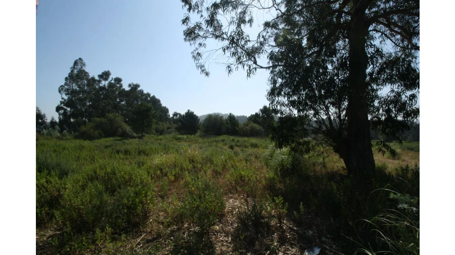 Terreno para Venda em Baguim do Monte Foto 6