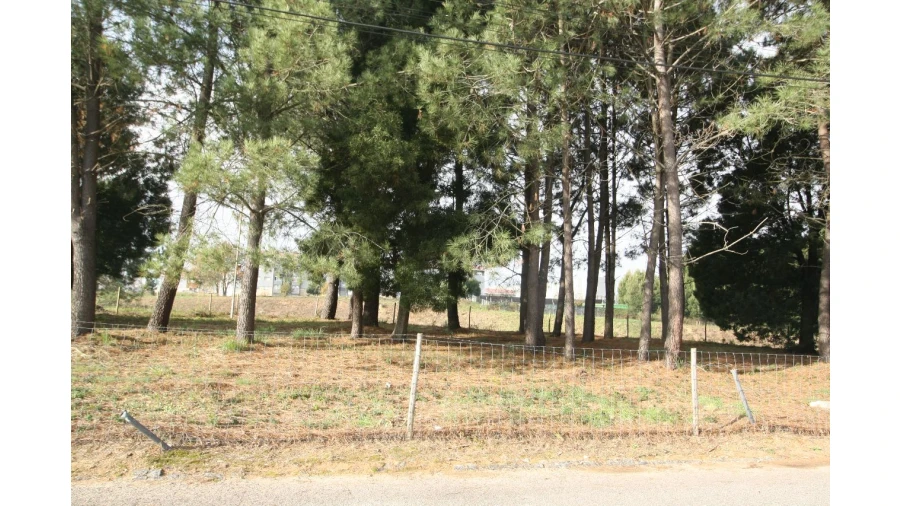 Terreno para Venda em Vila Nova de Gaia Foto 12