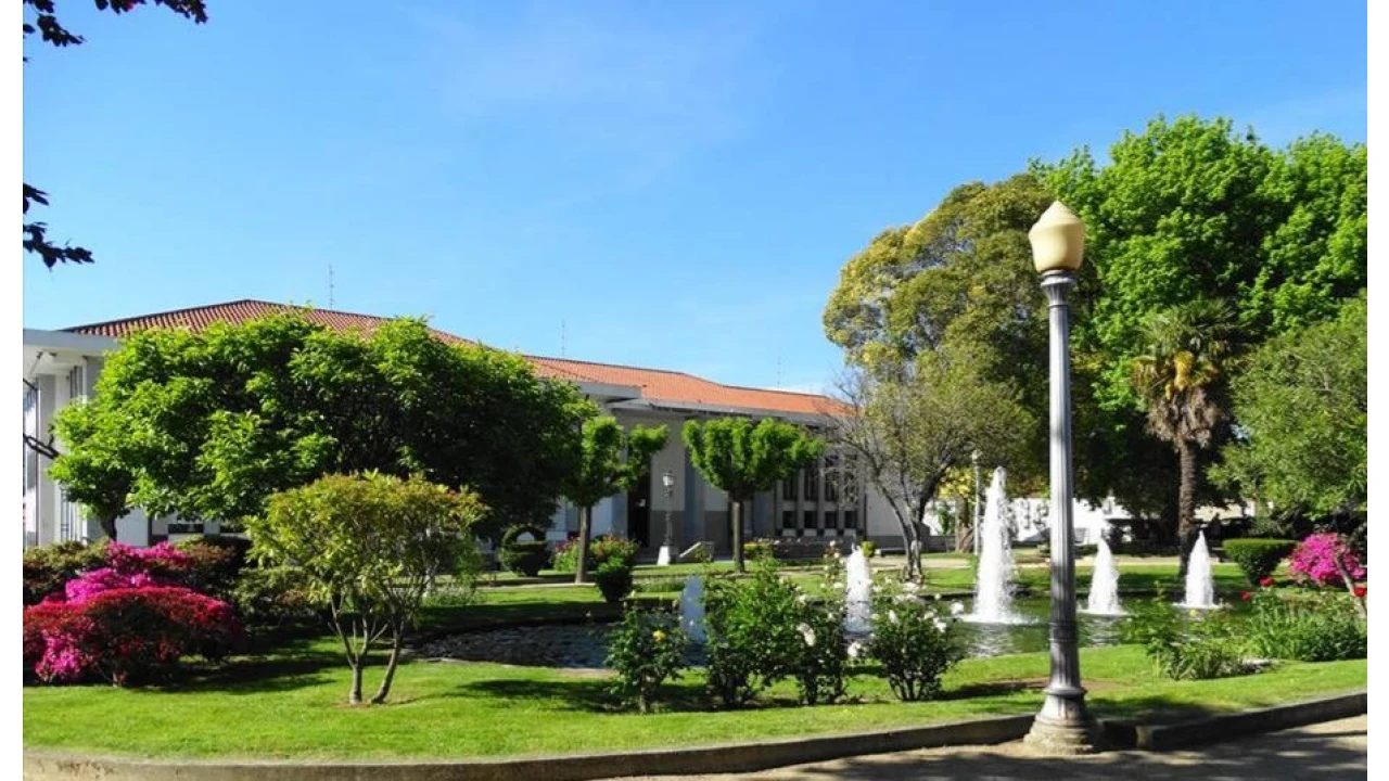 Moradia T3 para Venda em Resende Foto 33