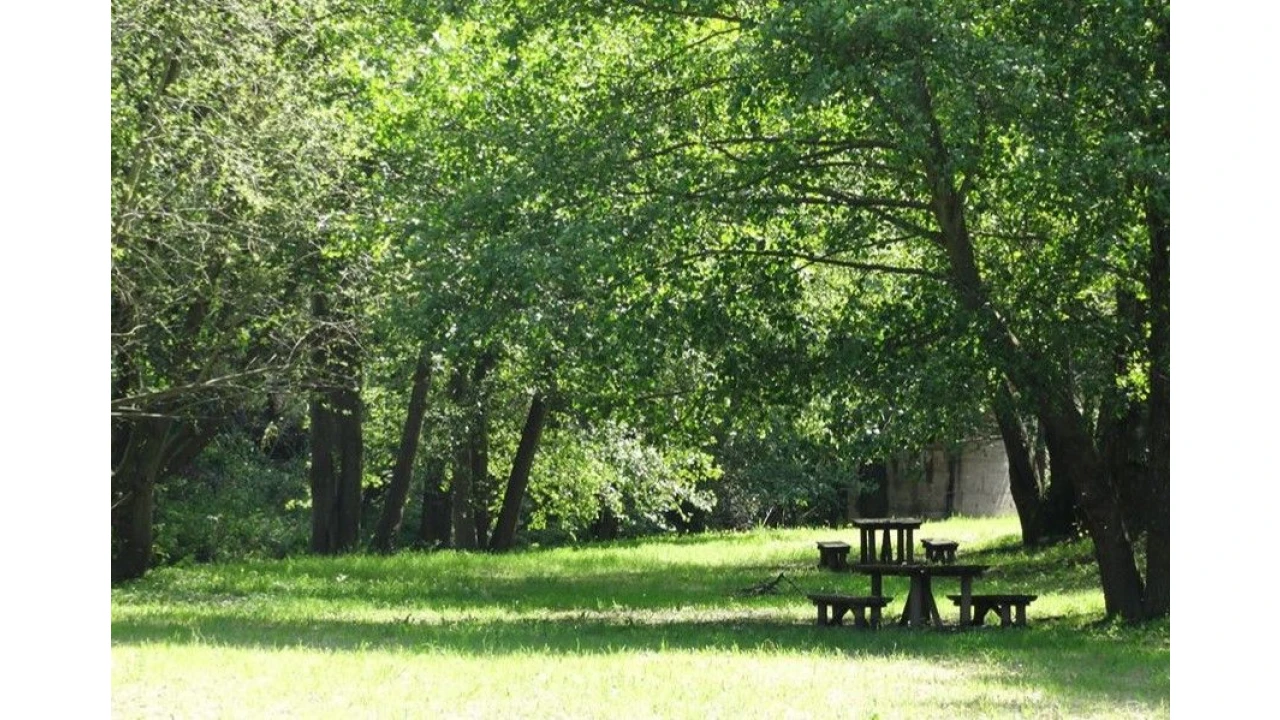 Moradia T3 para Venda em Resende Foto 38