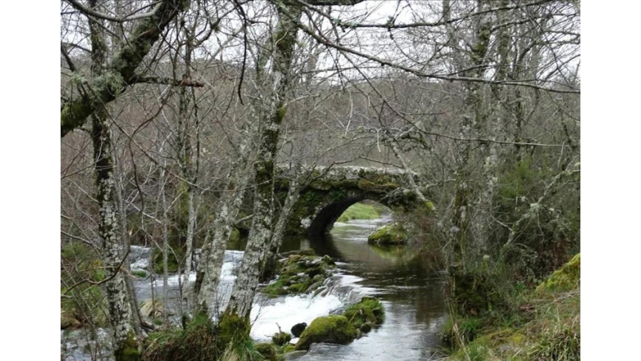 Moradia T3 para Venda em Resende Foto 45