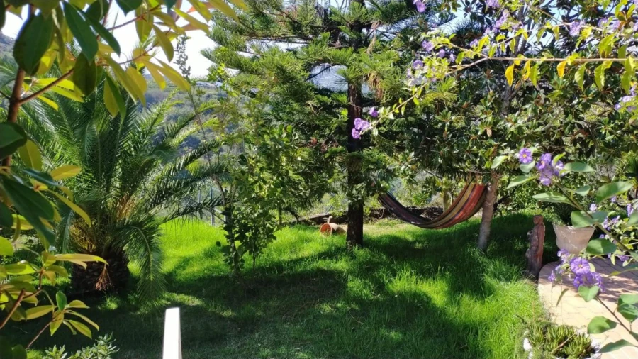 Moradia T3 para Venda em Resende Foto 5