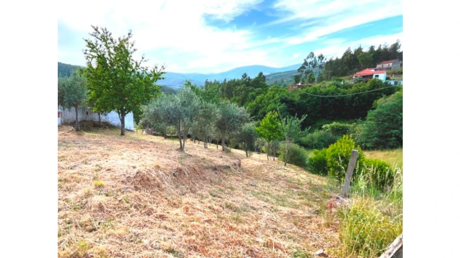 Moradia T4 para Venda em Estevianas Foto 43