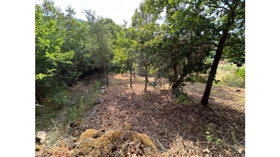 Moradia T4 para Venda em Estevianas Foto 49