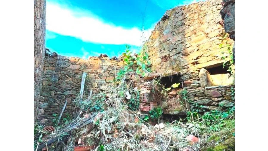 Moradia T4 para Venda em Estevianas Foto 64