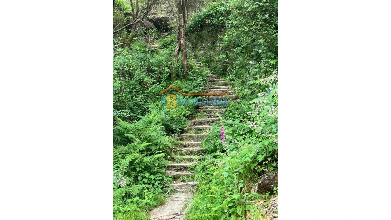 Moradia T6 para Venda em Rio de Frades Foto 8