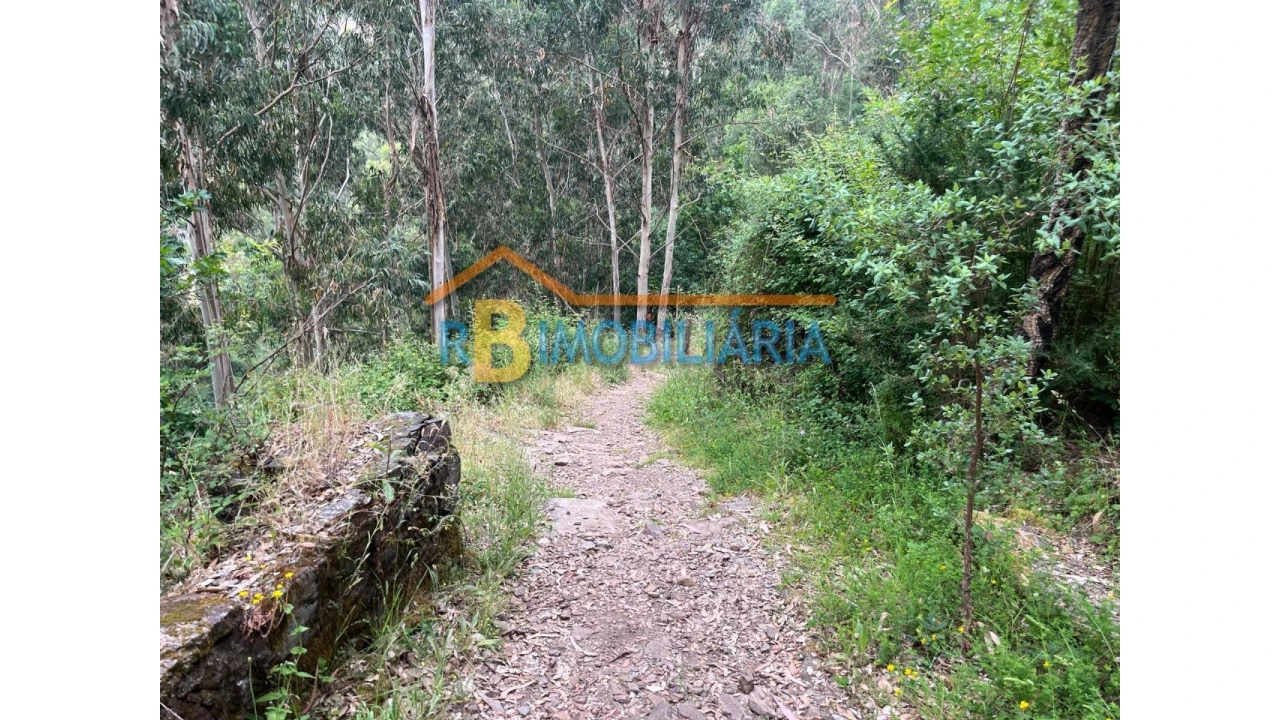 Moradia T6 para Venda em Rio de Frades Foto 16