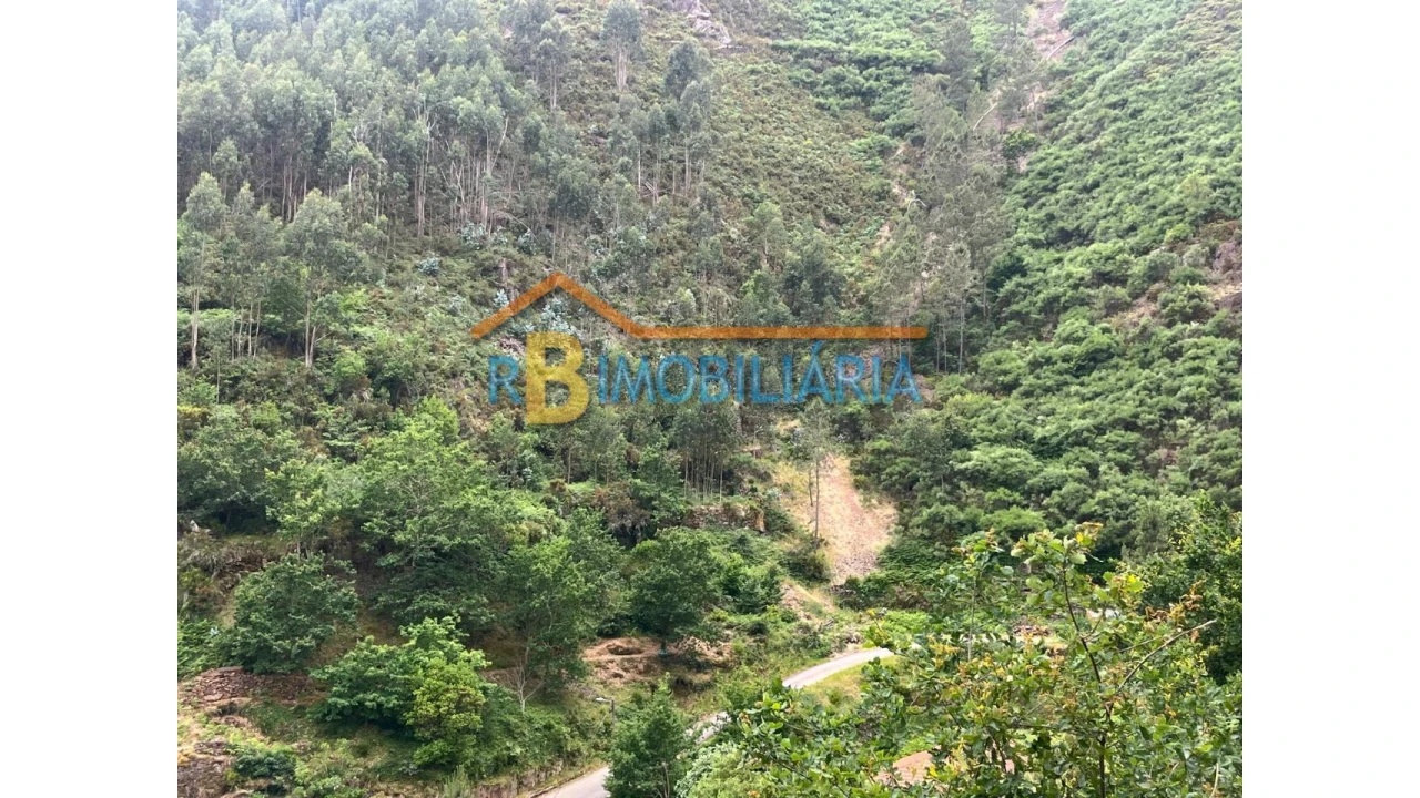 Moradia T6 para Venda em Rio de Frades Foto 17