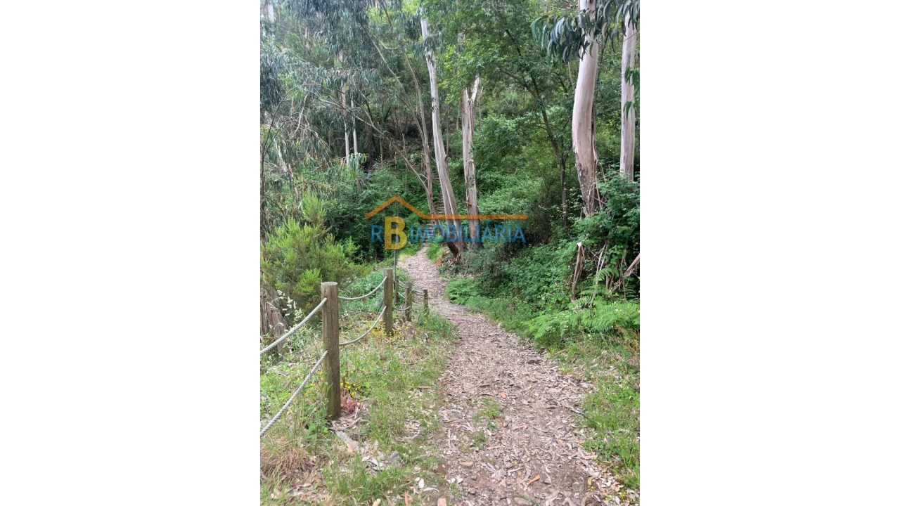 Moradia T6 para Venda em Rio de Frades Foto 18