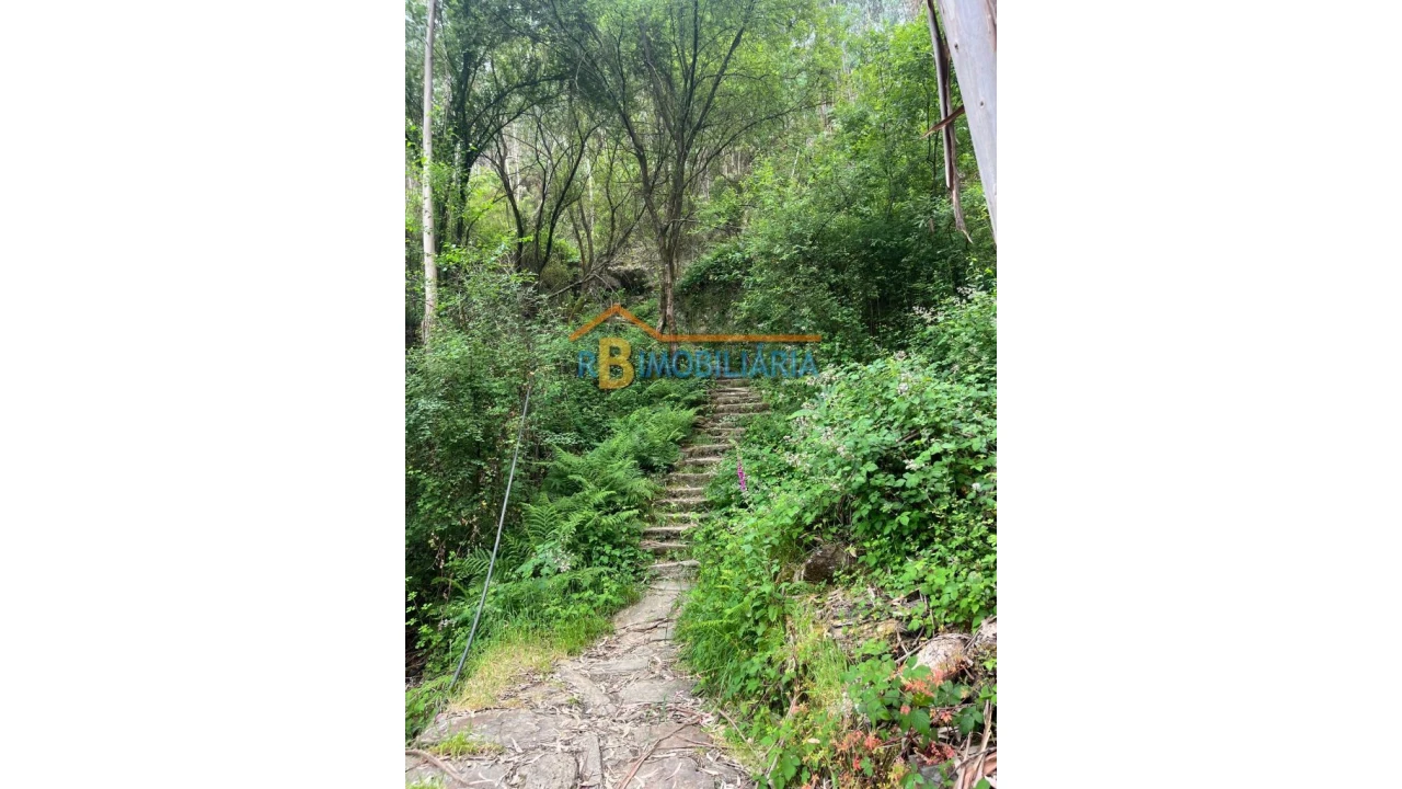 Moradia T6 para Venda em Rio de Frades Foto 20