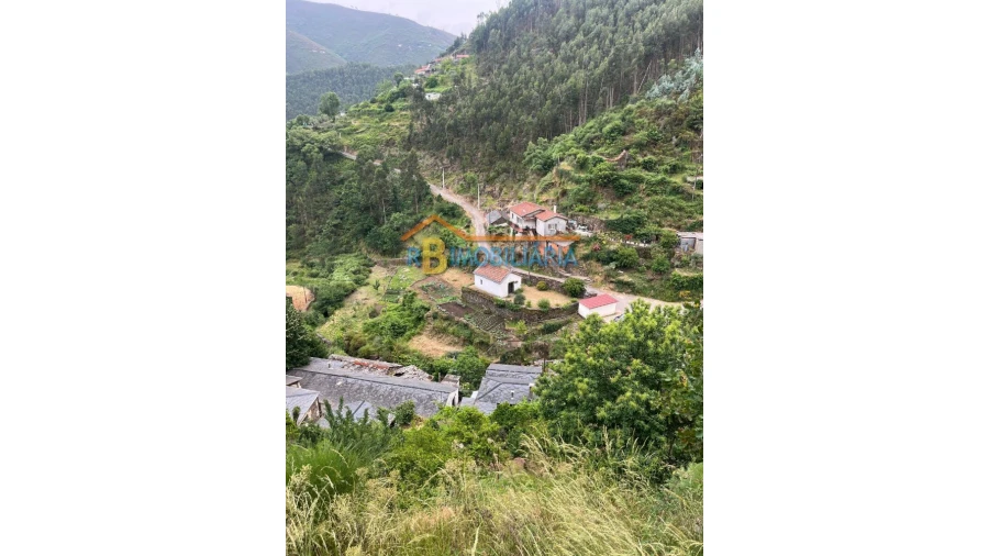 Moradia T6 para Venda em Rio de Frades Foto 5