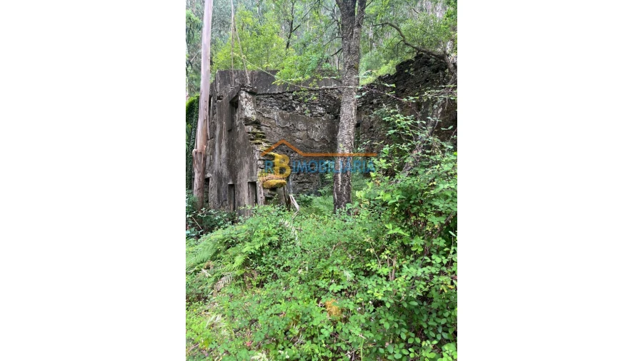 Moradia T6 para Venda em Rio de Frades Foto 10