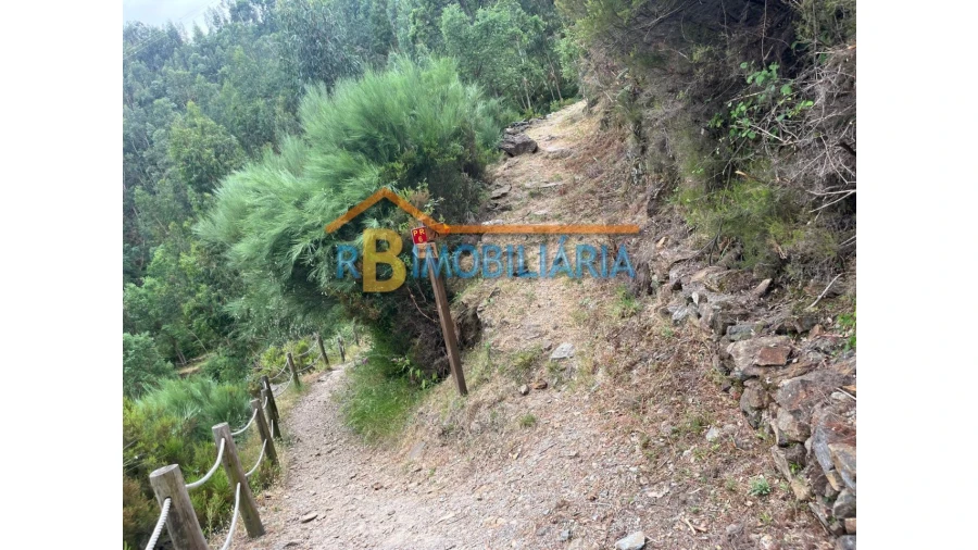 Moradia T6 para Venda em Rio de Frades Foto 14