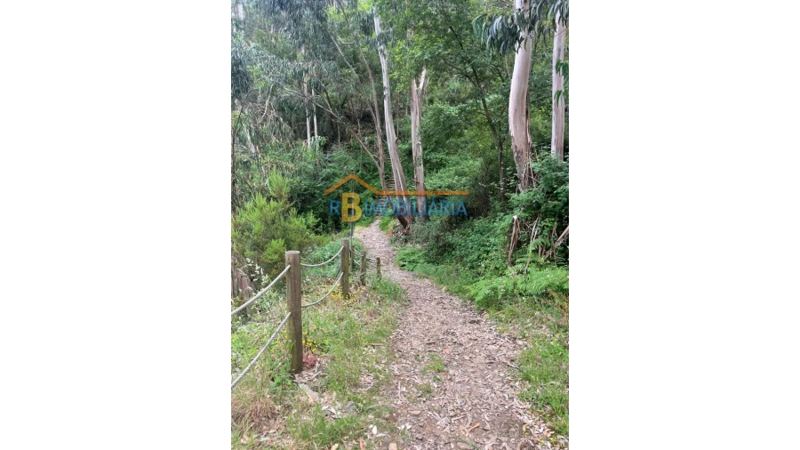 Moradia T6 para Venda em Rio de Frades Foto 18