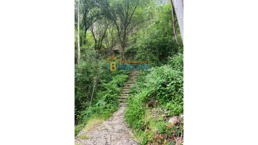 Moradia T6 para Venda em Rio de Frades Foto 20