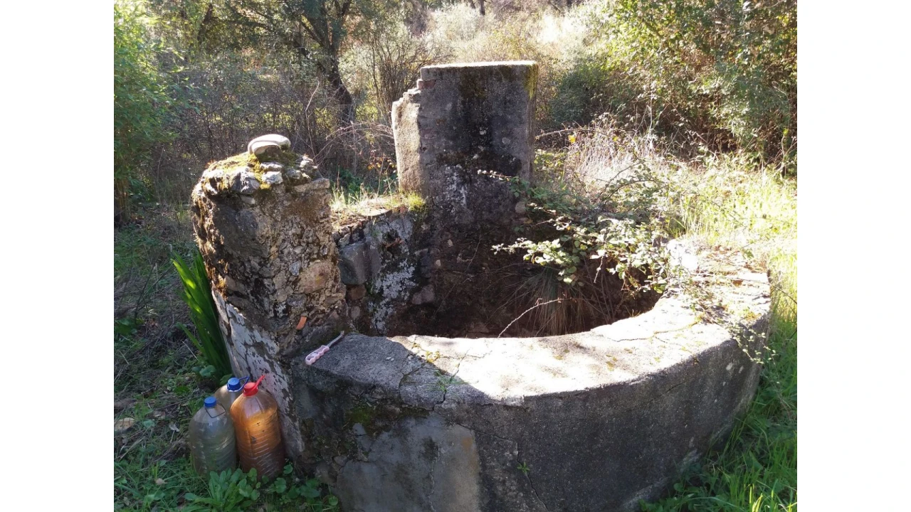 Terreno para Venda em Santa Margarida da Coutada Foto 3