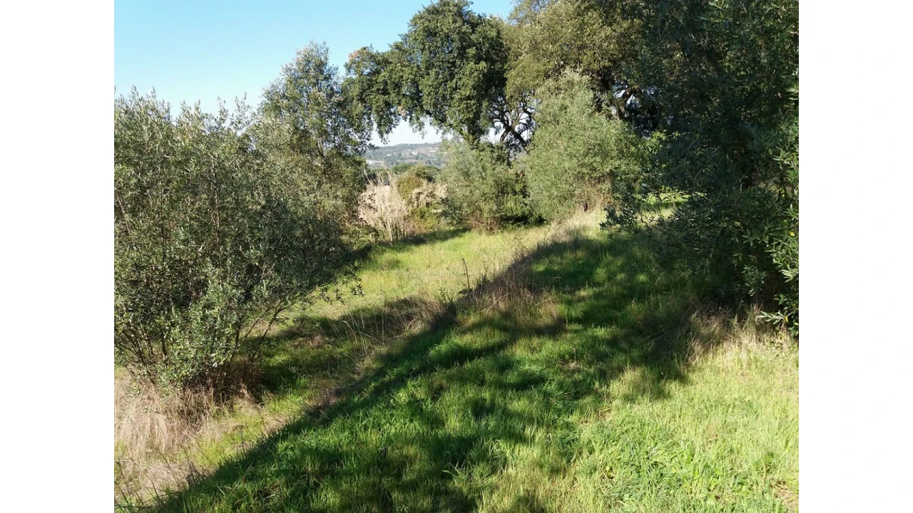 Terreno para Venda em Santa Margarida da Coutada Foto 4