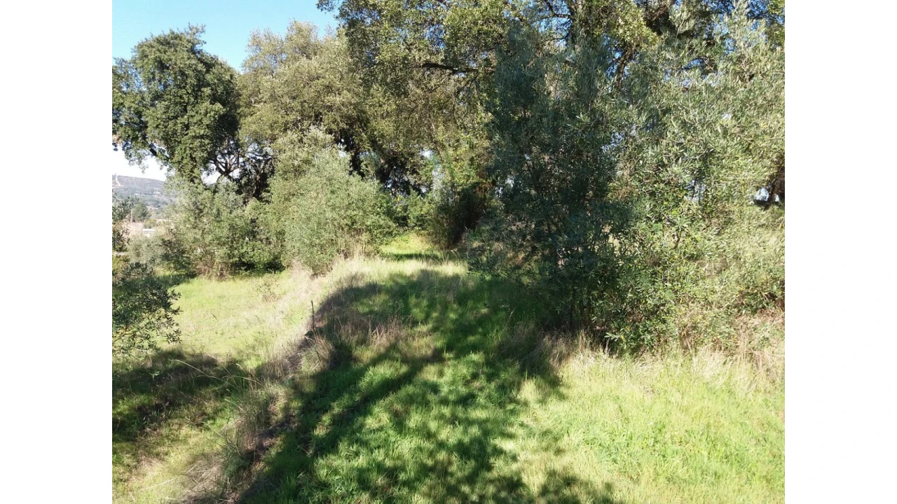Terreno para Venda em Santa Margarida da Coutada Foto 5