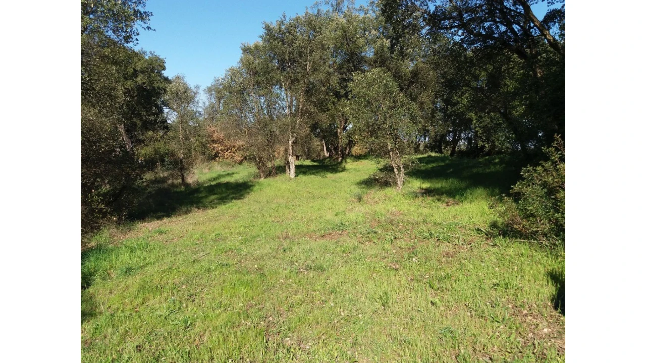 Terreno para Venda em Santa Margarida da Coutada Foto 14