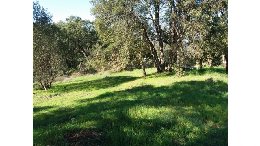 Terreno para Venda em Santa Margarida da Coutada