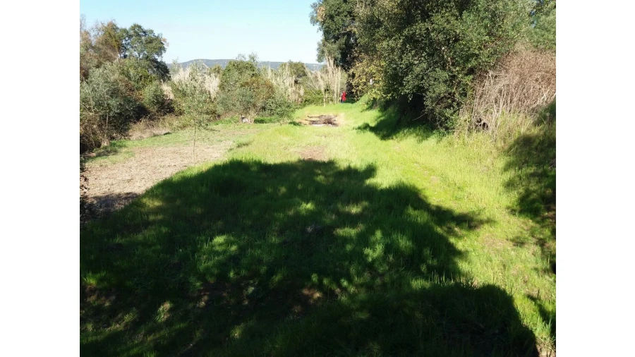Terreno para Venda em Santa Margarida da Coutada Foto 11