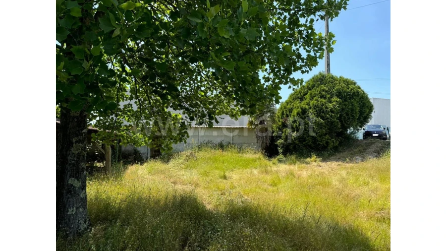 Armazém para Venda em Taíde Foto 12