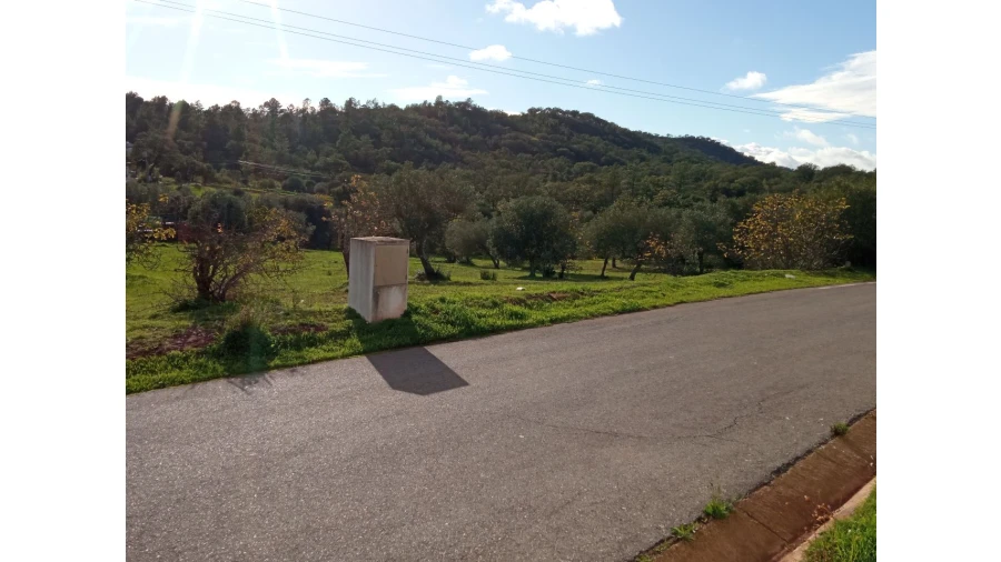 Terreno P/ Prédio para Venda em Sarnadas Foto 7