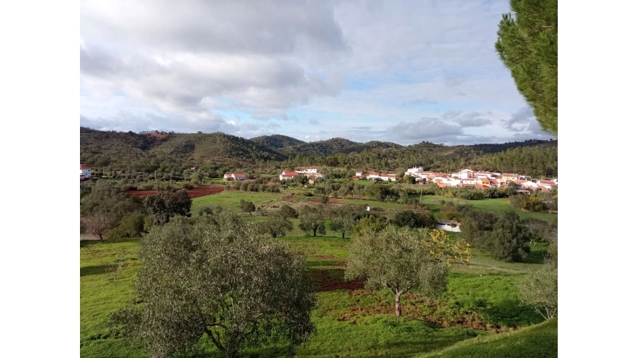 Terreno P/ Prédio para Venda em Sarnadas Foto 8
