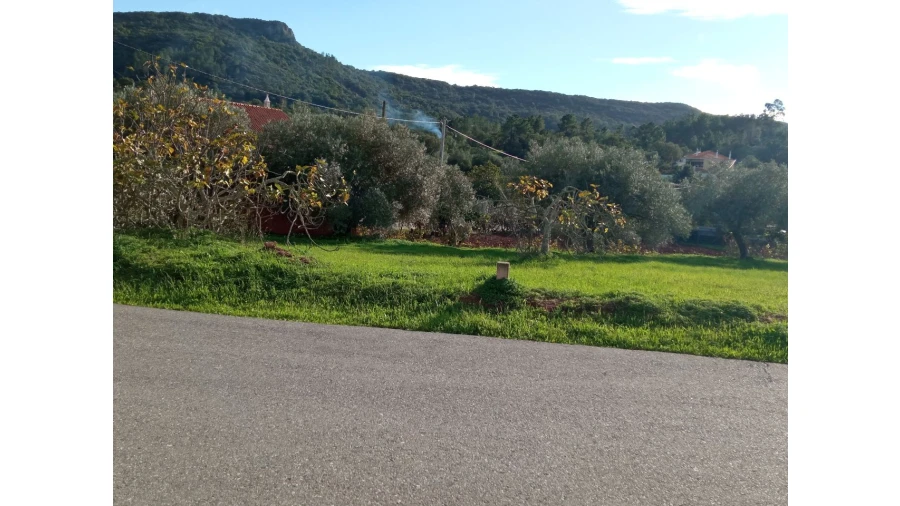 Terreno P/ Prédio para Venda em Sarnadas Foto 10