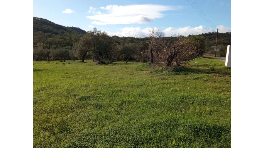 Terreno P/ Prédio para Venda em Sarnadas Foto 1
