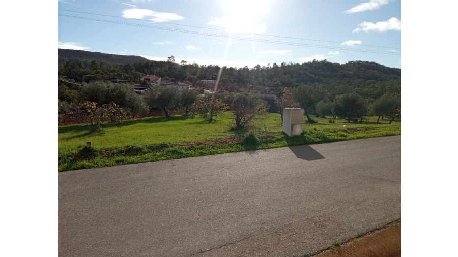 Terreno P/ Prédio para Venda em Sarnadas Foto 9