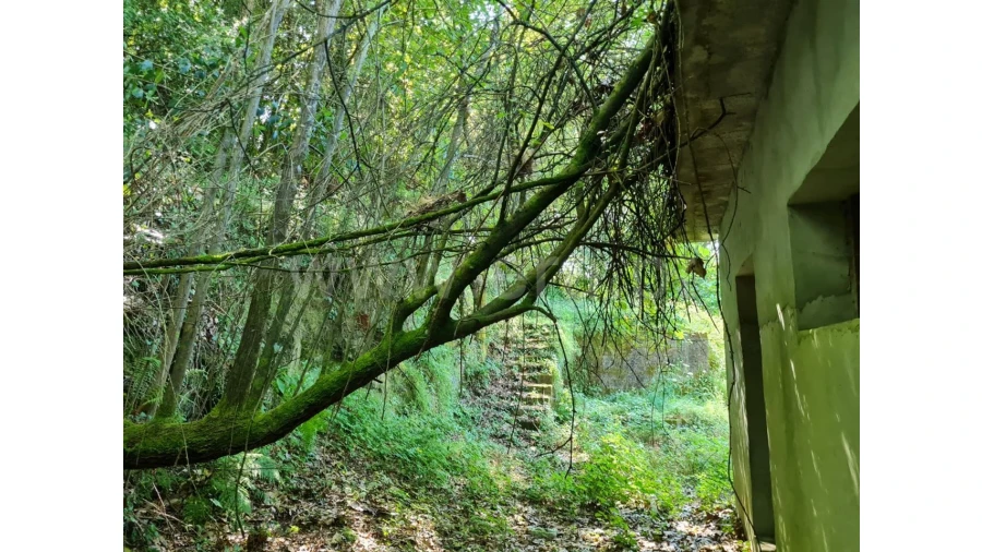 Moradia T0 para Venda em Aldeia Foto 16