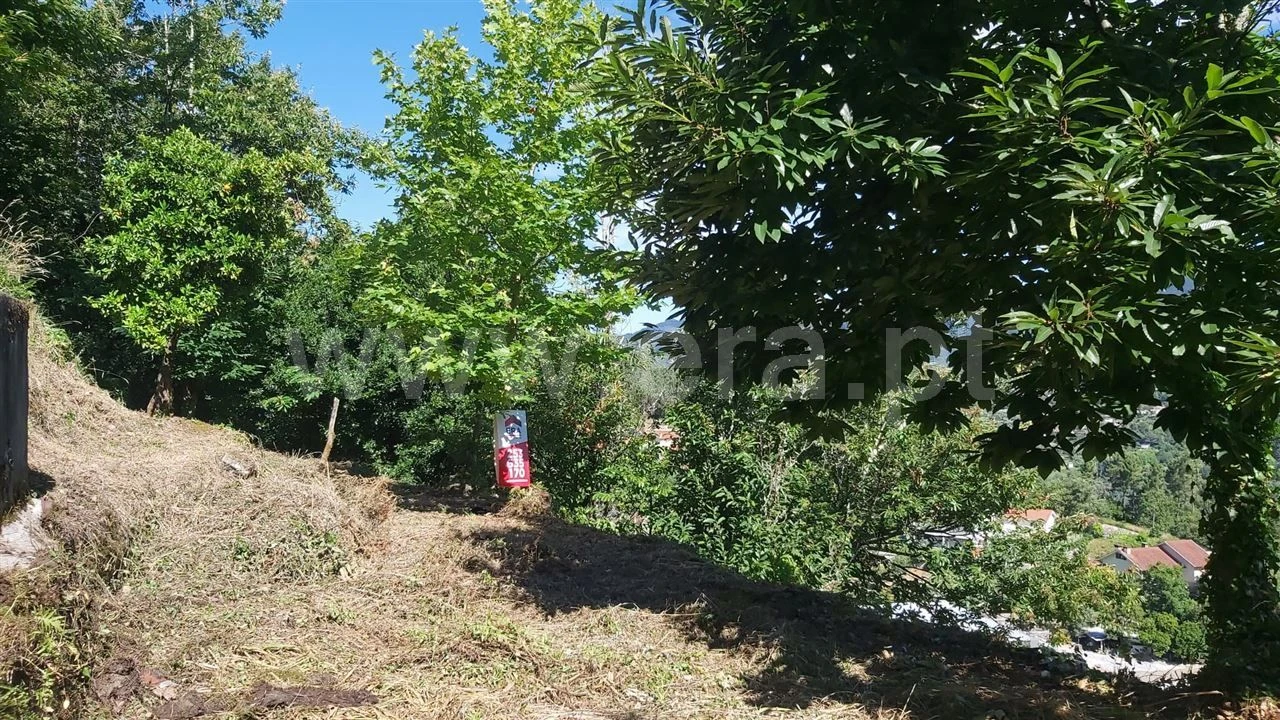 Terreno para Venda em Aldeia Foto 3