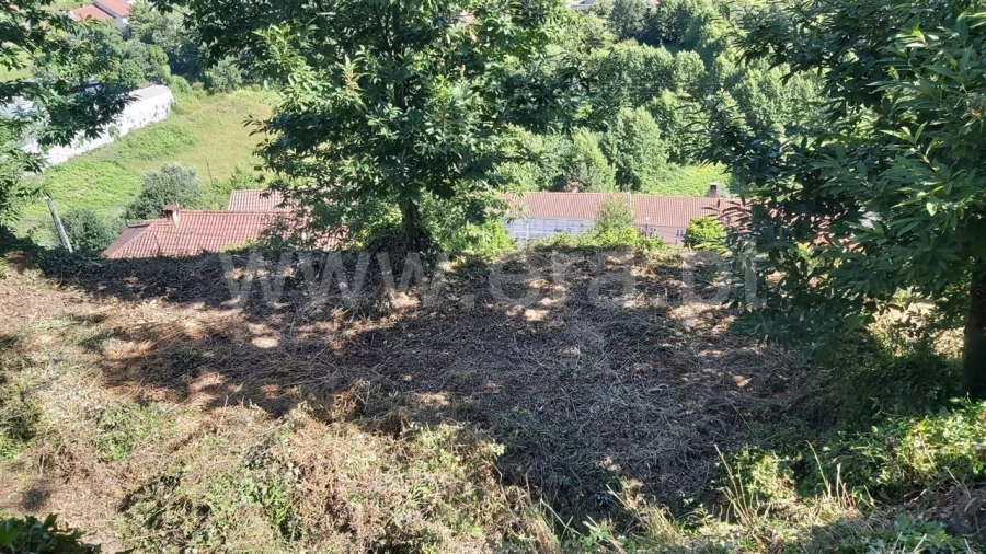 Terreno para Venda em Aldeia Foto 4