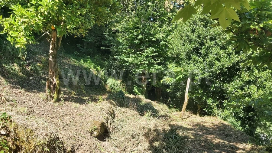 Terreno para Venda em Aldeia Foto 12