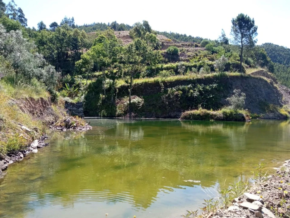Quinta T0 para Venda em Vila Viçosa Foto 3